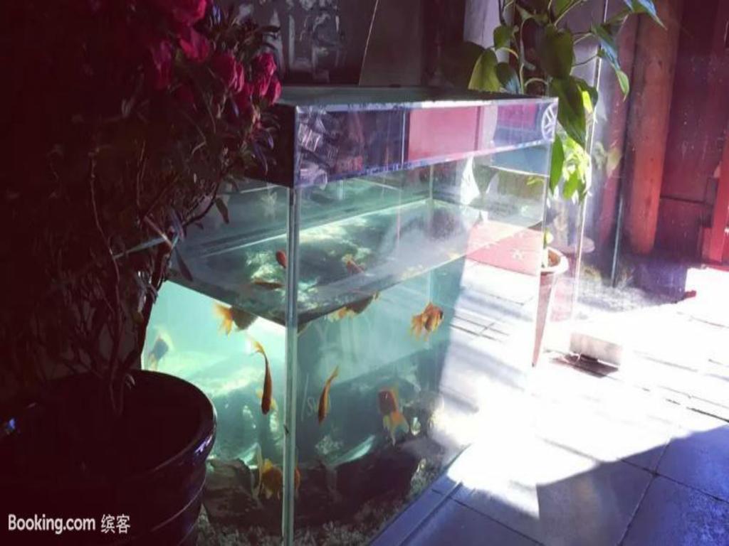 Three Legged Frog Hostel Pechino Esterno foto