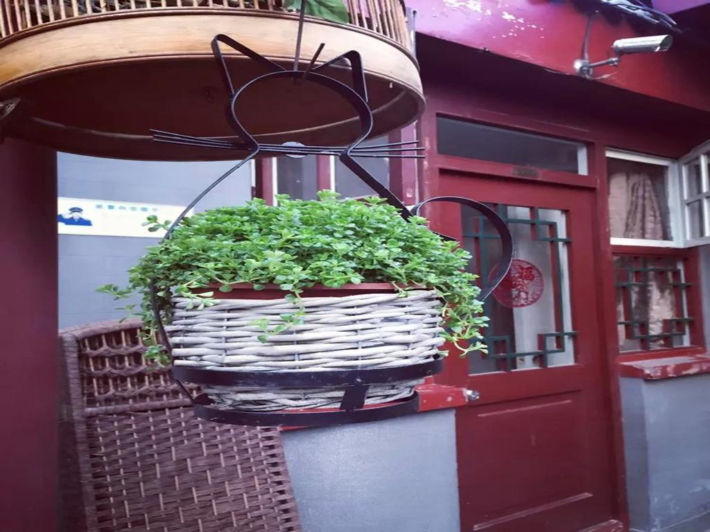 Three Legged Frog Hostel Pechino Esterno foto